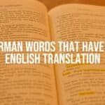 German dictionary with highlighted untranslatable words, vintage paper texture, warm lighting, illustrative style.