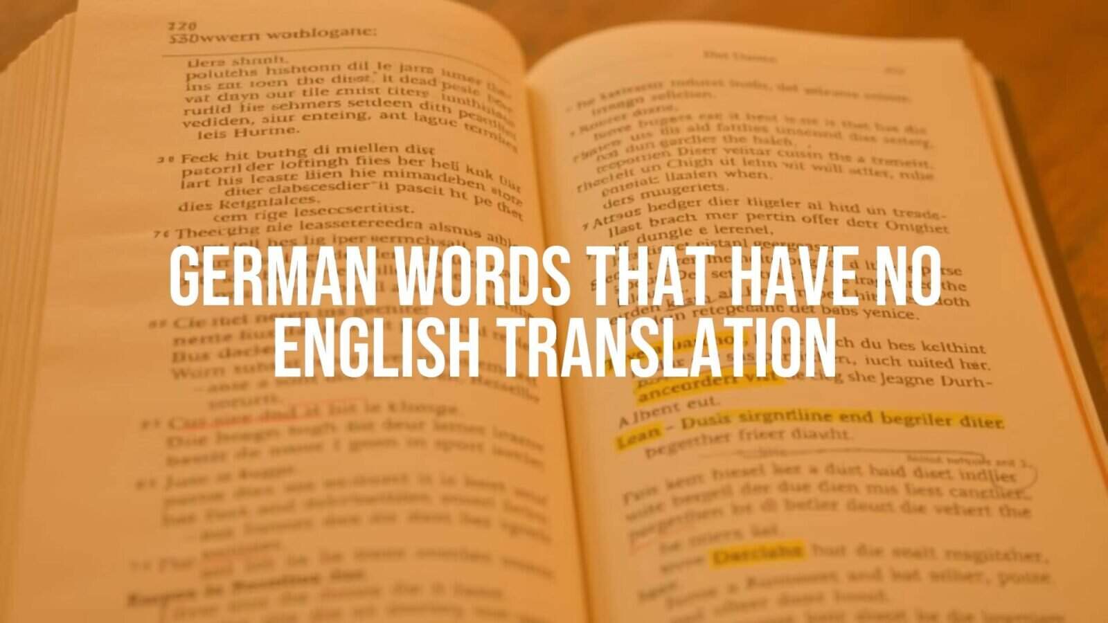 German dictionary with highlighted untranslatable words, vintage paper texture, warm lighting, illustrative style.
